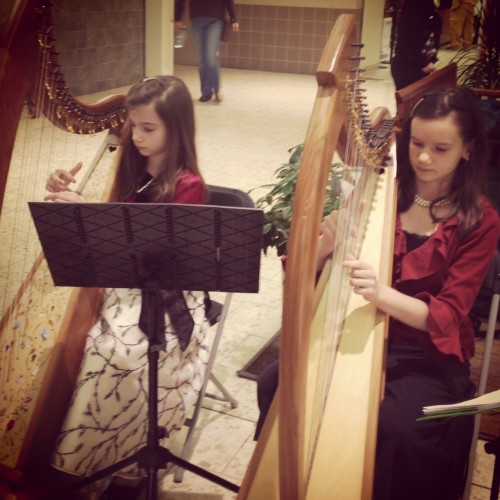 duet harp